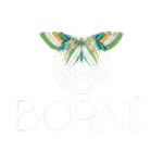 BORNÉ